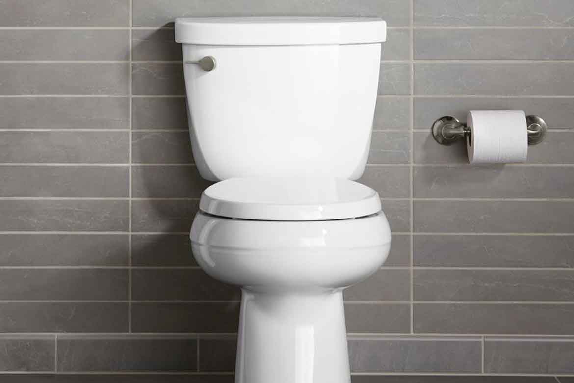 My Local Plumber Toilet Bidet Install or Replace Service