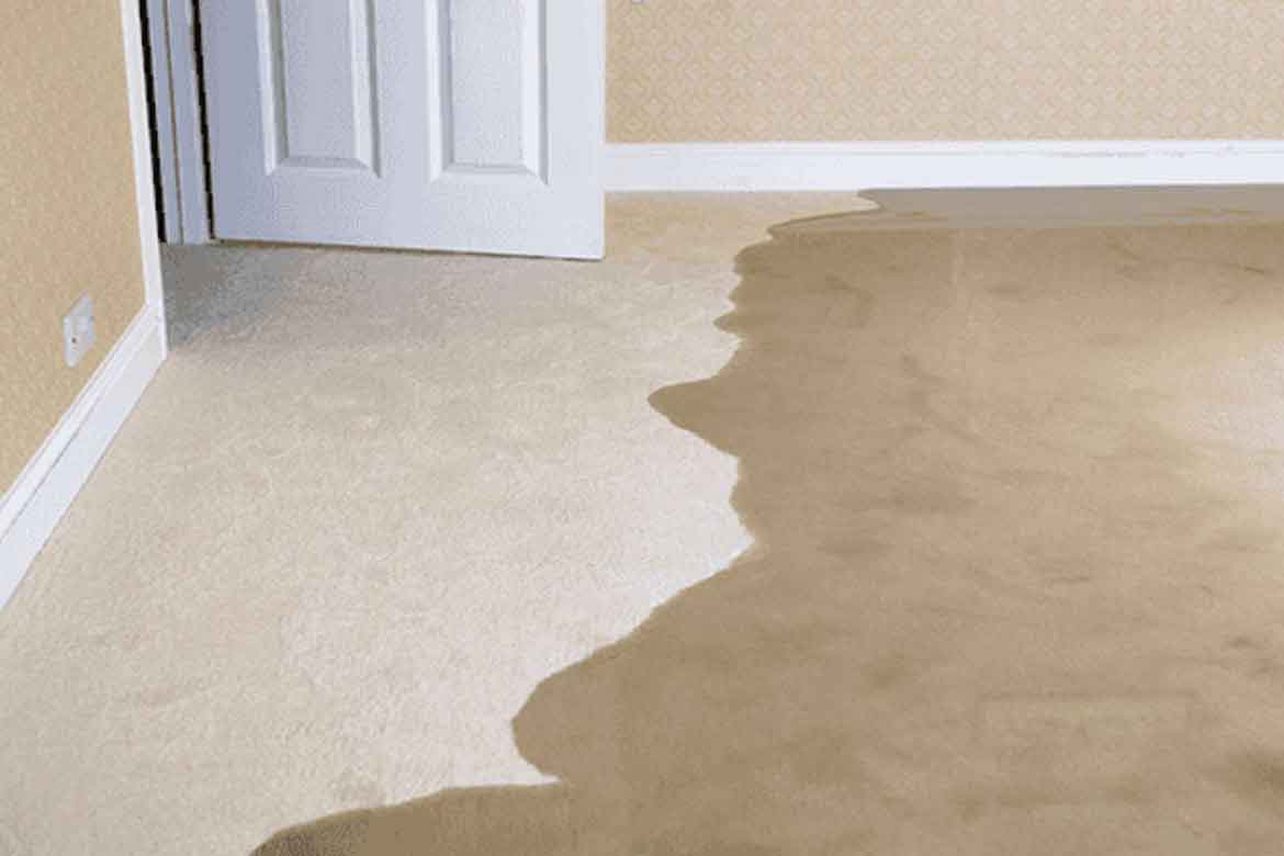 My Local Plumber Slab Leak Location